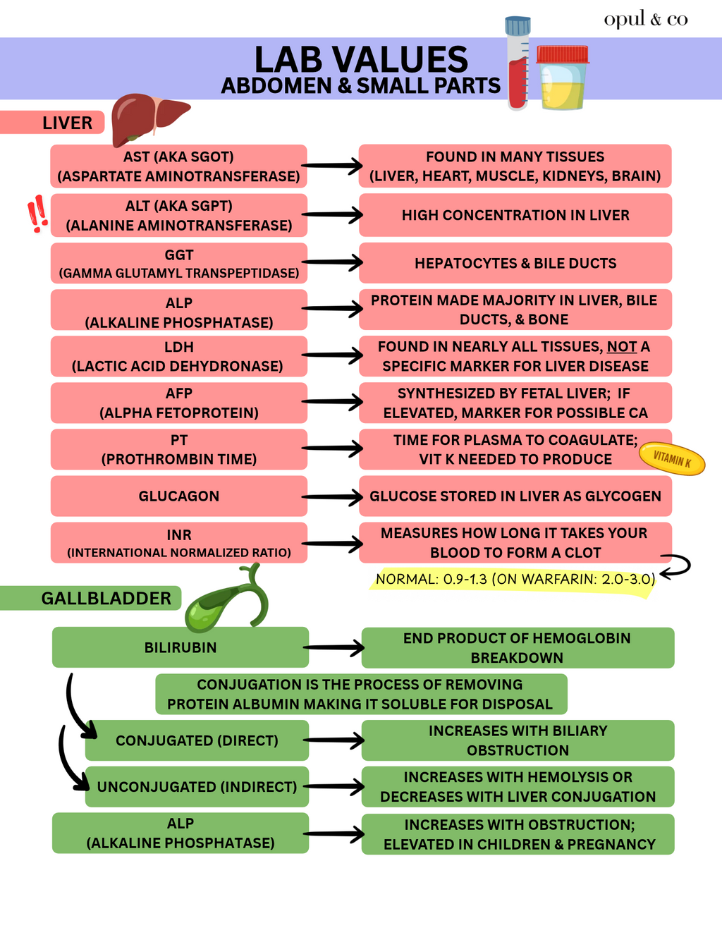 Lab Values FREE Downloadable PDF