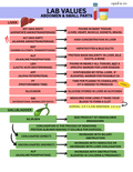 Lab Values FREE Downloadable PDF
