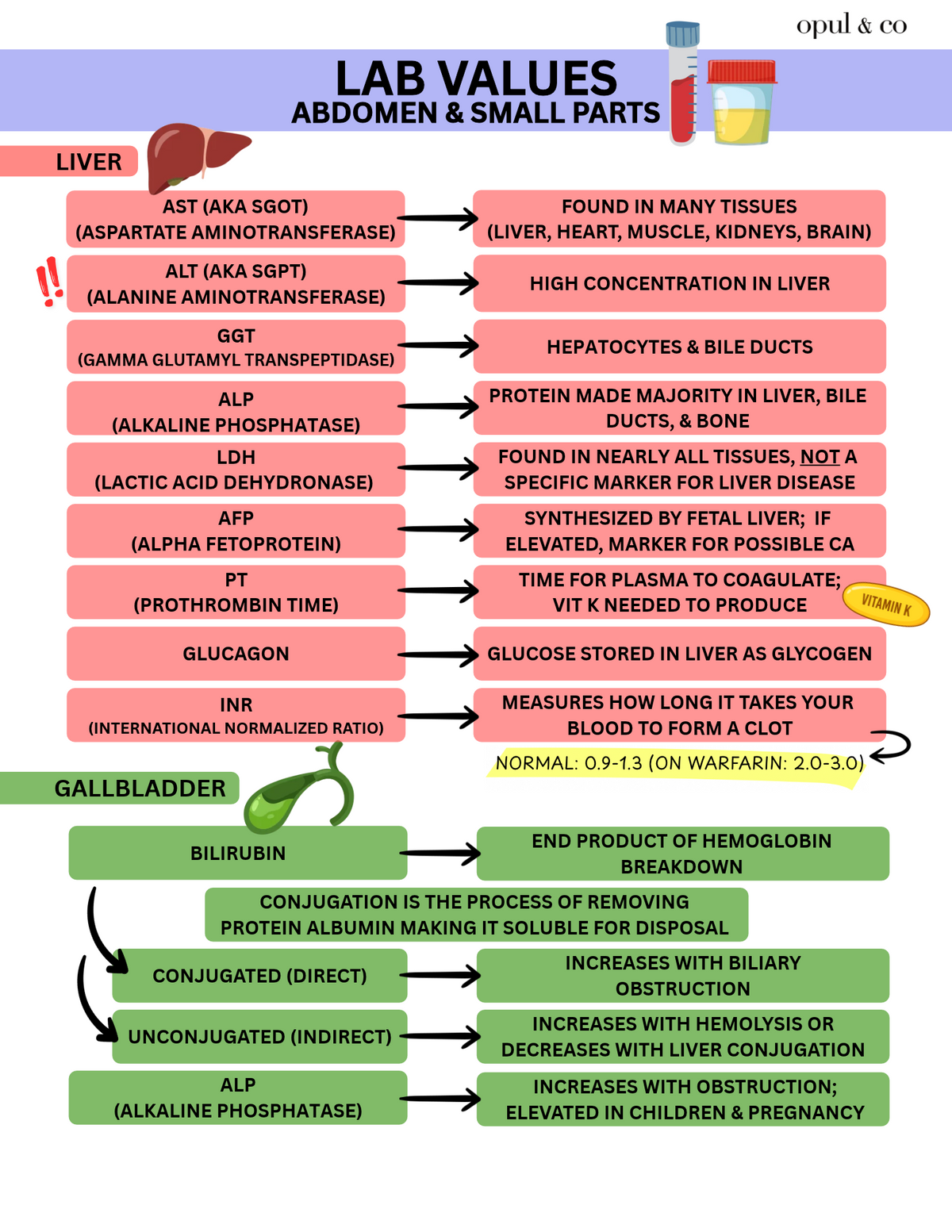Lab Values FREE Downloadable PDF